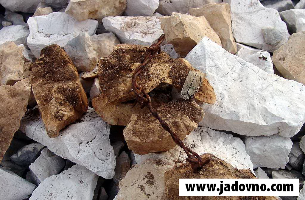 Мај 2006. - Пепео спаљених тијела логораша у камењару Слане - остатак бодљикаве жице